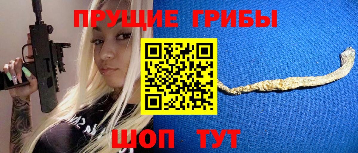 Псилоцибиновые грибы Psilocybine cubensis Коломна