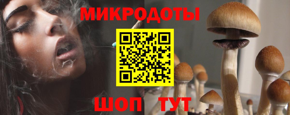 Коломна  Галлюциногенные грибы Psilocybe  Вход с VPN 